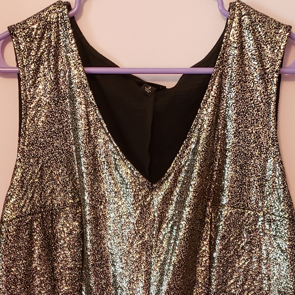 Glitter Cocktail Dress